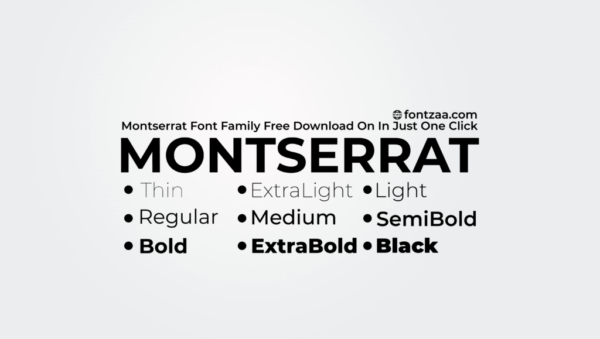 best english font for web design