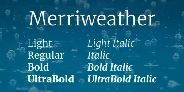 best english font for web design